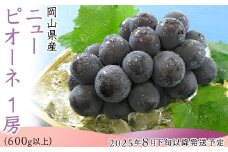 74-11 ニューピオーネ1房（600g以上）【2025年8月下旬～9月下旬頃発送予定】