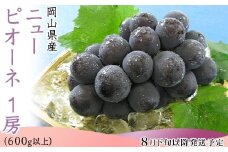 74-11 ニューピオーネ1房（600g以上）【2026年8月下旬～9月下旬頃発送予定】