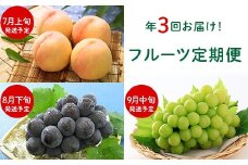 フルーツ 定期便 年3回 2026 先行予約 岡山 晴王 シャインマスカット 黒ぶどう 白桃 旬 果物 岡山県産 ブドウ もも くだもの お楽しみ定期便