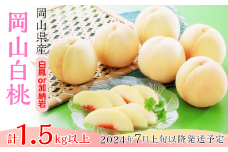 74-13 白桃5～7玉（白鳳もしくは加納岩）【2025年7月上旬～7月中旬発送予定】