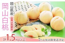 74-13 白桃5～7玉（白鳳もしくは加納岩）【2026年7月上旬～7月中旬発送予定】