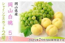 74-15 白桃5玉とシャインマスカット2房セット【2025年7月中旬～8月上旬発送予定】
