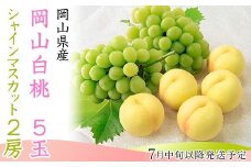 74-15 白桃5玉とシャインマスカット2房セット【2026年7月中旬～8月上旬発送予定】