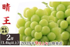 74-17 「晴王」2房（1.4kg以上）【2025年9月上旬～10月上旬発送予定】