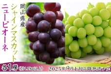 74-18 ぶどう2房（シャイマスカット・ニューピオーネ）計1.2kg以上【2025年9月上旬～10月上旬発送予定】