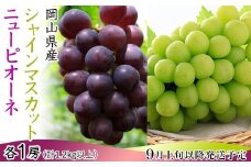 74-18 ぶどう2房（シャイマスカット・ニューピオーネ）計1.2kg以上【2026年9月上旬～10月上旬発送予定】