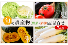 旬の農産物（野菜・果物など）詰合せ【7品以上】