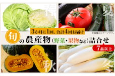 【3か月に1回、合計4回お届け】旬の農産物（野菜・果物など）詰合せ【7品以上】