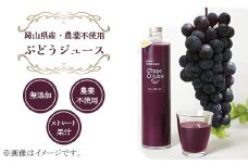農薬不使用ぶどうジュース（ベリーＡ）【2024年10月から順次発送】