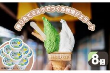 搾りたてミルクでつくるジェラート8個セット（徳山牧場アイス工房）