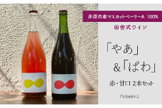 田舎式ワイン「やあ」＆「ぱわ」２本セット