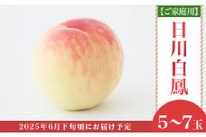 【ご家庭用】岡山の桃 日川白鳳 5～7玉