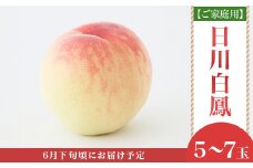 【ご家庭用】岡山の桃 日川白鳳 5～7玉【2026年6月下旬頃から順次発送】