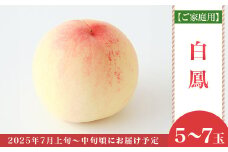 【ご家庭用】岡山白桃 白鳳 5～7玉