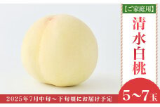 【ご家庭用】岡山白桃 清水白桃 5～7玉