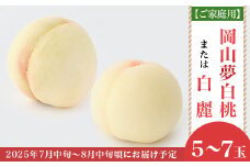 【ご家庭用】岡山白桃「岡山夢白桃もしくは白麗」5～7玉