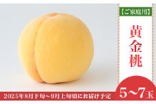 【ご家庭用】岡山県産 黄金桃 5～7玉