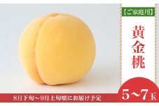 【ご家庭用】岡山県産 黄金桃 5～7玉【2026年8月下旬頃から順次発送】