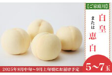 【ご家庭用】岡山白桃「白皇もしくは恵白」5～7玉