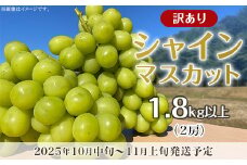 【訳あり】シャインマスカット 2房（1.8kg以上）【2025年10月中旬～11月上旬発送予定】（星のさと・ぶどう工房）