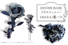 ＤＥＮＩＭ　ＲＯＳＥ - IBARA/藍バラ - プラチナシルバー