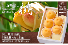 岡山県産「白桃（晩生種）」約1.3kg（5～6玉）