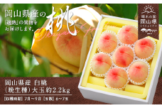岡山県産「白桃（晩生種）」約2.2kg（大玉6～7玉）