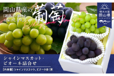 岡山県産「シャインマスカット・ニューピオーネ」詰合せ 約1.0kg