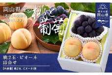 岡山県産「白桃・ニューピオーネ」詰合せ 約1.0kg