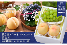 岡山県産「白桃・シャインマスカット」詰合せ 約1.0kg