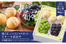 岡山県産「白桃・シャインマスカット・ニューピオーネ」詰合せ 約1.8kg