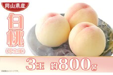 岡山県産 白桃3玉（約800g）