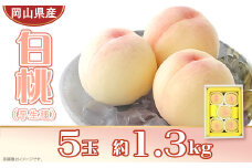 岡山県産 白桃5玉（約1.3kg）