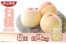 岡山県産 白桃8玉（約2.0kg）
