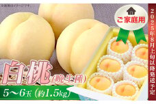 ご家庭用 白桃(晩生種) 5～6玉（約1.5kg）