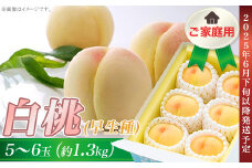 ご家庭用　岡山の白桃（早生種）5～6玉（約1.3kg）