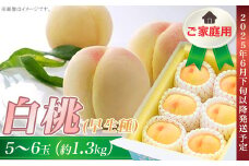 ご家庭用　岡山の白桃（早生種）5～6玉（約1.3kg）【26年6月中旬以降の出荷分】