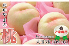 【ご家庭用】おかやまの桃 大玉3玉（約900g）