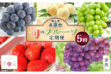 【定期便5回】岡山県産フルーツ（白桃・ピオーネ・シャインマスカット晴王・紫苑・晴苺）