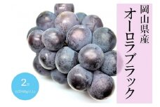オーロラブラック 2房(1房480g以上) 化粧箱入り