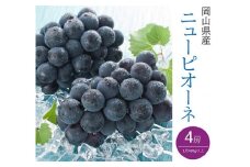 ニューピオーネ 4房(1房480g以上)