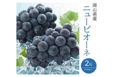 ニューピオーネ 2房(1房480g以上)
