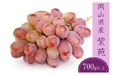 紫苑 1房(700g以上) 化粧箱入り