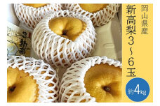 新高梨 3～6玉（約4kg）化粧箱入り