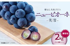 岡山県井原市美星町産 ニューピオーネ「美澪」 2kg箱（3～5房入り）贈答用