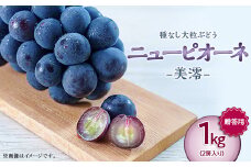 岡山県井原市美星町産 ニューピオーネ「美澪」 １kg箱（2房入り）贈答用