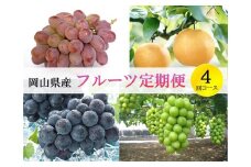 岡山県産 フルーツ定期便 4回コース