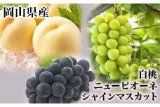 詰合せ 白桃2玉(1玉220g以上)・ニューピオーネ1房(480g以上)・シャインマスカット「晴王」１房(480g以上) 化粧箱入り