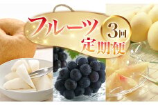 フルーツ 定期便 3回 フルーツ 定期便 先行予約 桃 ぶどう 梨 3回（岡山白桃・ピオーネ・あたご梨）