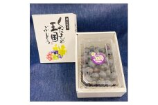 ベリーＡ 800g(バラ粒) ご家庭用